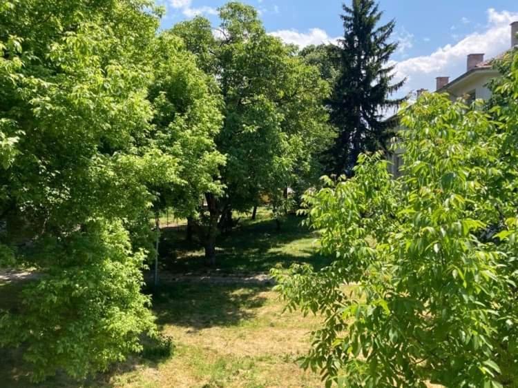 Apartamenti Art Uut 3 I Art Uut 4 Apartman Plovdiv Kültér fotó